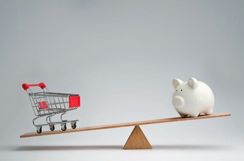 Balans tussen winkelwagen en spaarvarken, staat symbool voor het grip houden op de Financiën van je webshop.