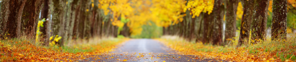 De Exact Autumn'20 Release barst van de nieuwe innovaties in Exact Globe en Exact Synergy.