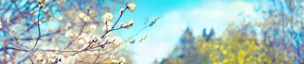 Innovaties in Exact Globe, Exact Synergy en Exact Spend Management in de Spring'21 Release.